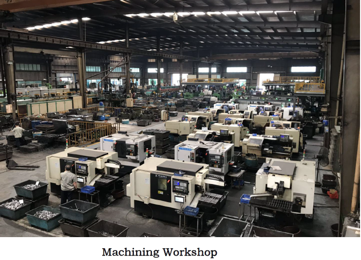 processing workshop